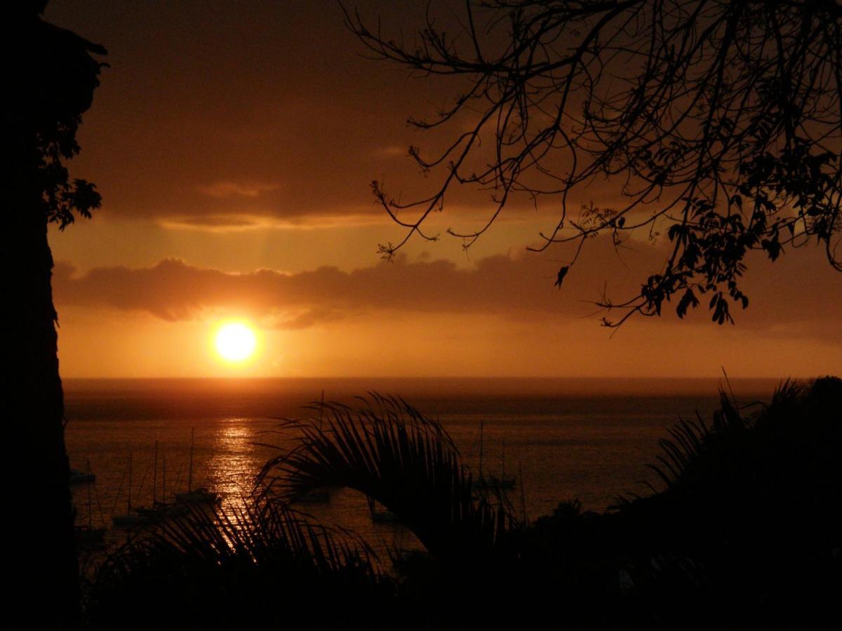 Le Matelot De La Baie Villa Deshaies Dış mekan fotoğraf