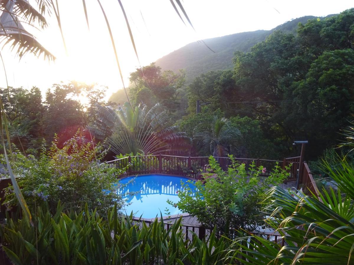 Le Matelot De La Baie Villa Deshaies Dış mekan fotoğraf