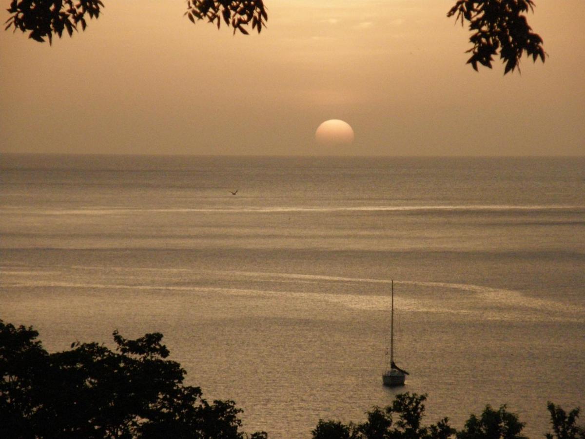 Le Matelot De La Baie Villa Deshaies Dış mekan fotoğraf