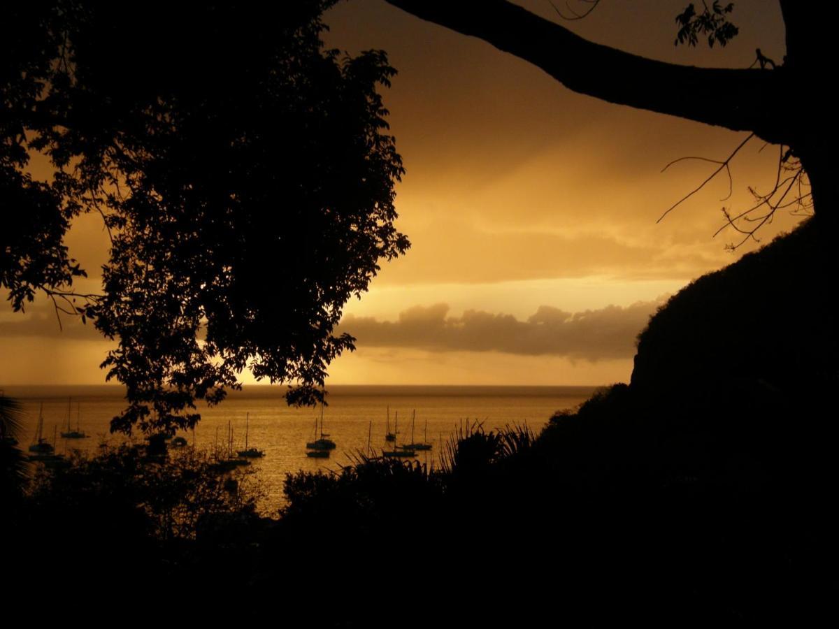 Le Matelot De La Baie Villa Deshaies Dış mekan fotoğraf