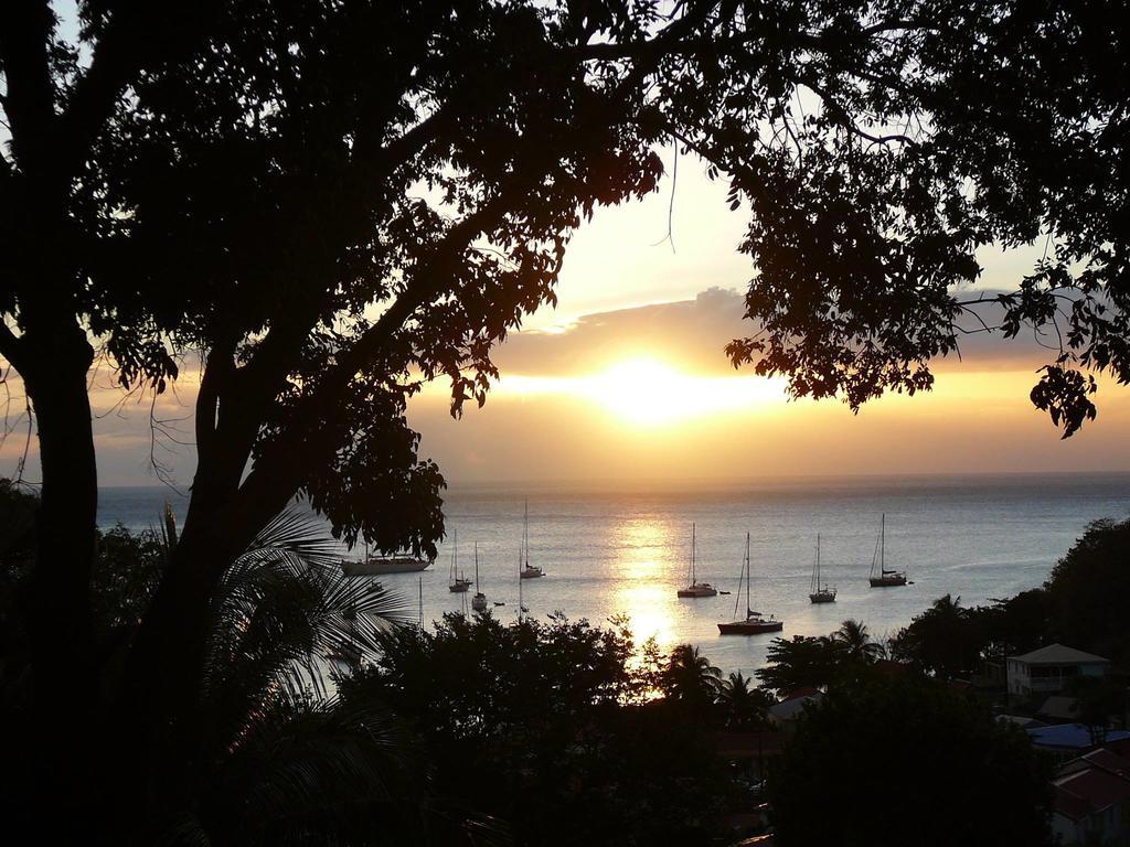Le Matelot De La Baie Villa Deshaies Dış mekan fotoğraf
